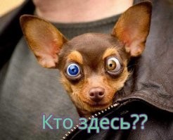 Скрины из соцсетей&nbsp;&nbsp;&nbsp;&nbsp;&nbsp;&nbsp;&nbsp;&nbsp;&nbsp;&nbsp;&nbsp;&nbsp;