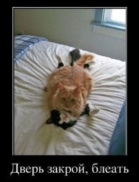 Всё вразнобой&nbsp;