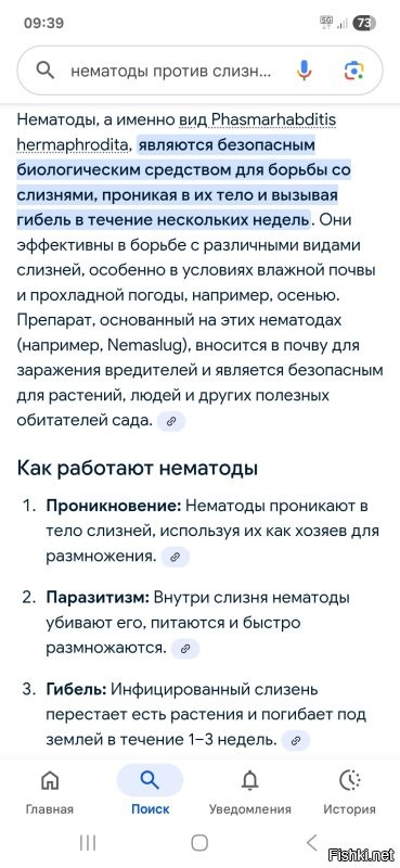 Подсадил тыкву около герани, слизняков это не смутило. Жрали тыковки на раз два. 
  Советуют прикупить нематоды.