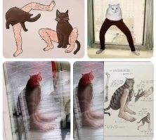 Намешалось