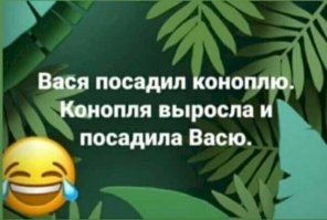 Силовики нагрянули к очередному "весёлому фермеру"