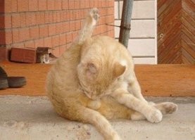 Люди, у которых очень много свободного времени