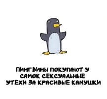 Всё как у людей