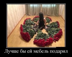 Москвич заказал 80 вёдер роз для  своей женщины