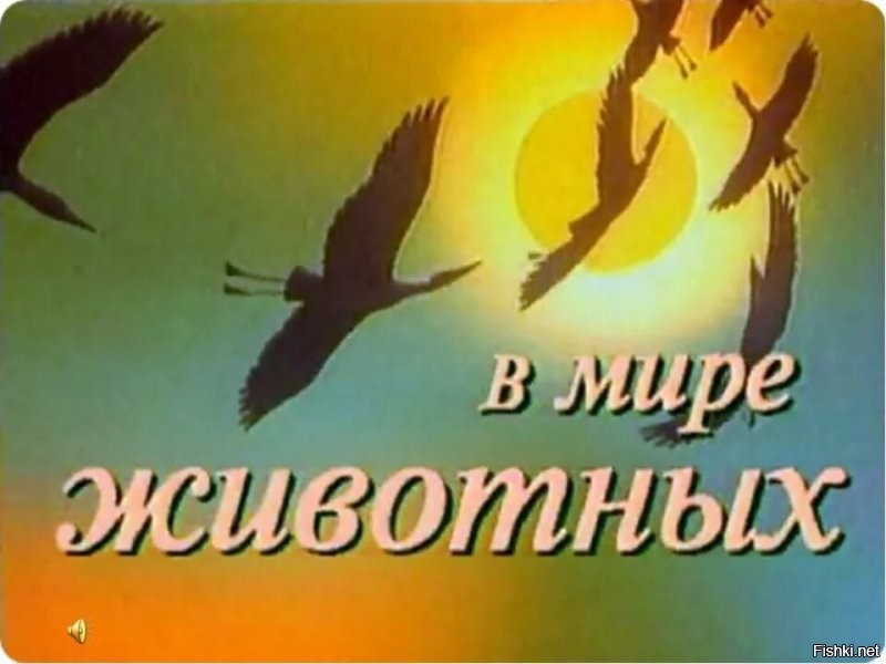 Кто их на дорогу выпустил?