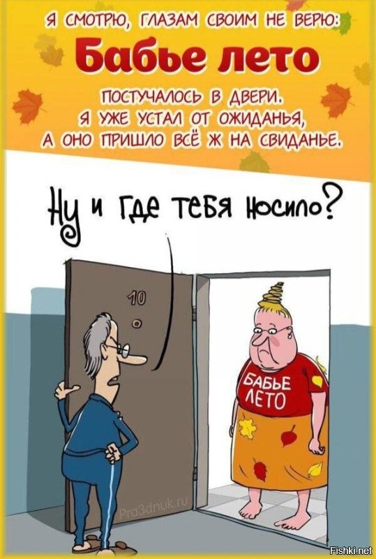 Солянка от 25.09.2025