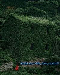 Намешалось