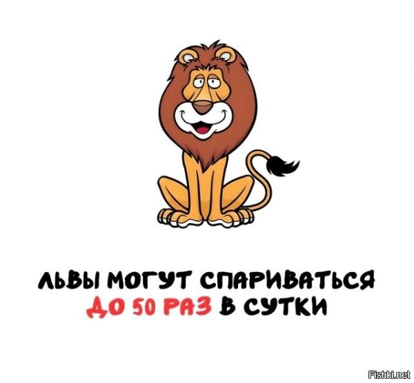 Профессор читает лекцию в аудитории:
Лев, за один день может спариваться до 50 раз.
Женский голос из первого ряда: Профессор! Повторите пожалуйста ещё раз для Иванова в последнем ряду. Профессор повторяет.. .
Мужской голос из последнего ряда: Профессор! А он это делает с одной львицей или с разными.
Профессор: с разными.
Мужской голос из последнего ряда: Профессор! Повторите это пожалуйста для Ивановой в первом ряду...