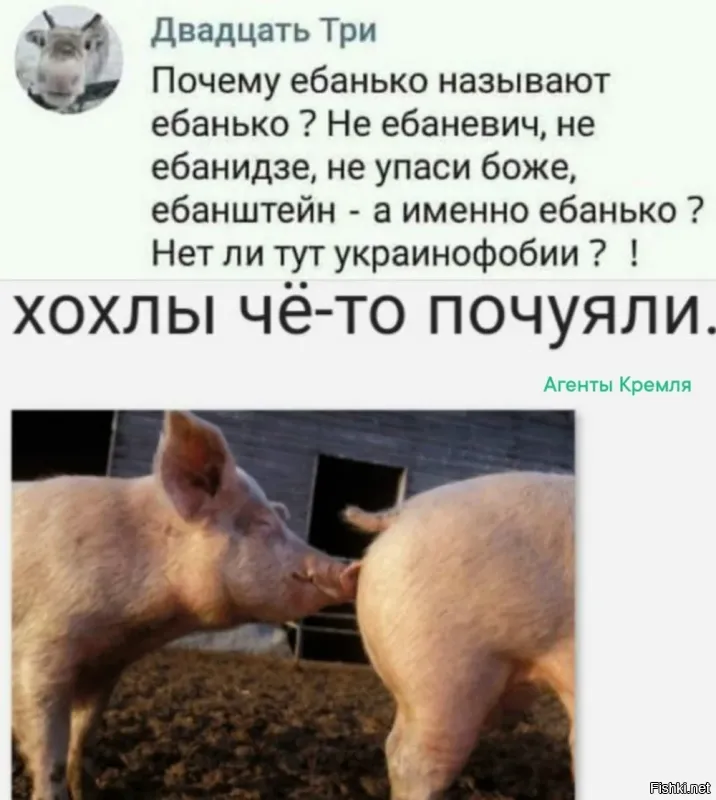 5 лет тюремного заключения: суд во Франции вынес приговор Николя Саркози