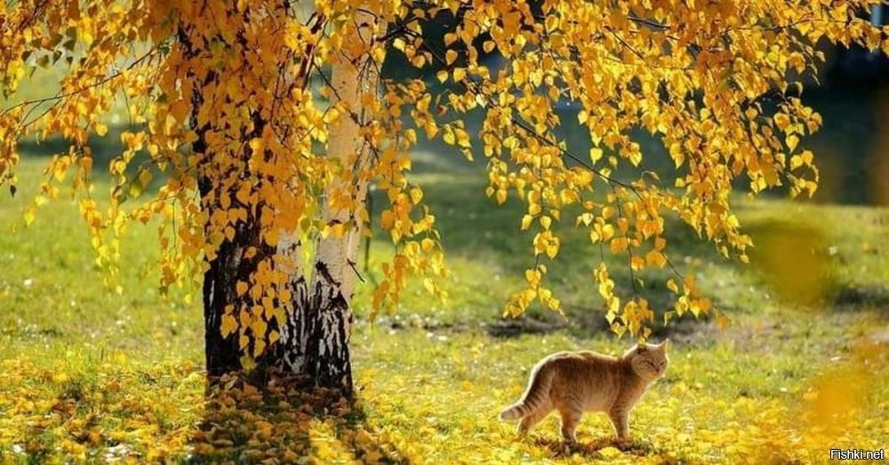 Да ну на фиг , пойду отогреваться !!!