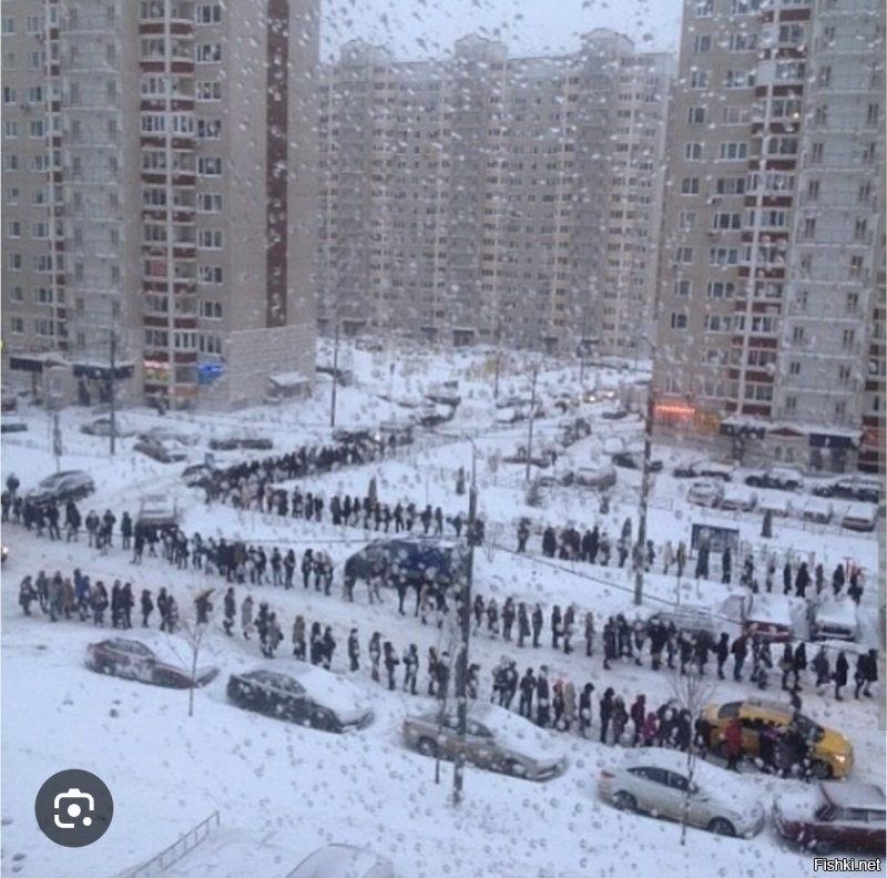 А вам ни странно, что люди ходят на работу? Думаете на фото они все кайфуют в этом момент? Просто с деньгами лучше, чем без. Вот и с котами лучше, чем без, даже испытывая некоторые неудобства.