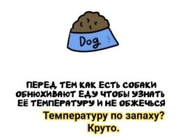 А вдруг ты не знал…