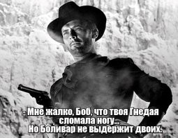 Печальный пост. Почему лошади нельзя вылечить перелом ноги? Даже лучшие врачи почти не имеют шансов