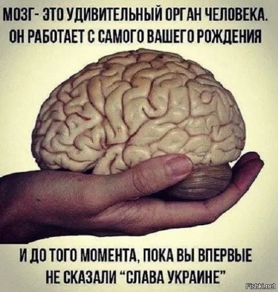 "слава урине" - это уже следствие отказа работы мозга.