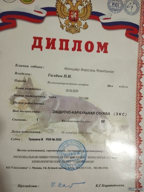 Да не то слово!
55 кило опасссного, отлично тренированного, живого веса