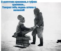 18 редких исторических кадров, переживших своё время