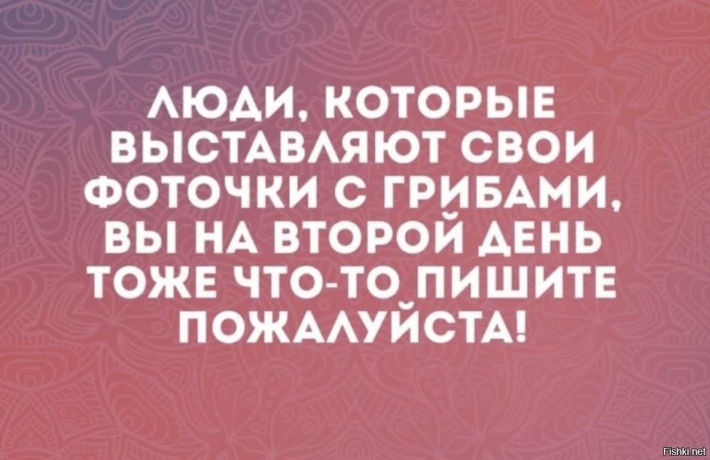 Солянка от 26.09.2025