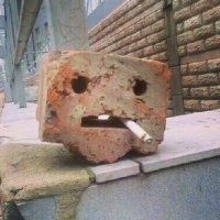 Догадался, проклятый...