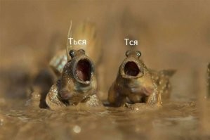 Парень нарушил 10 странных европейских законов в 10 странах