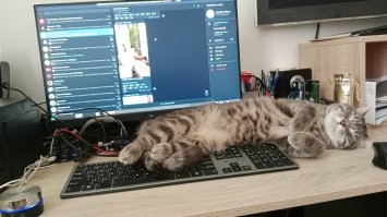 А мой делает так:
