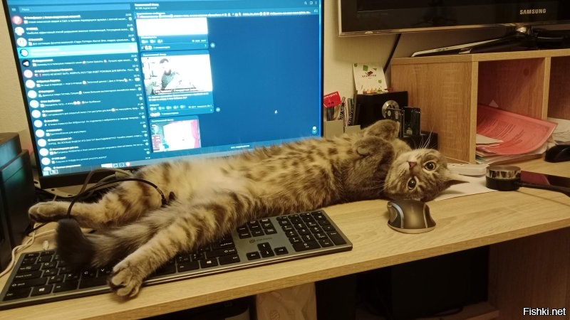 А мой делает так: