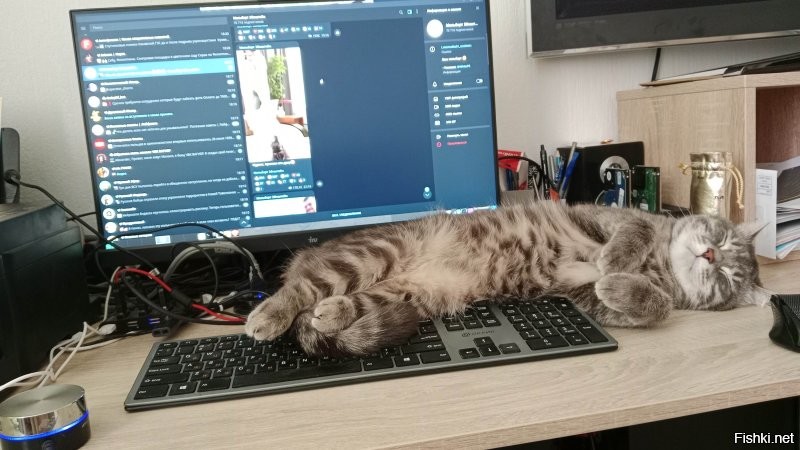 А мой делает так: