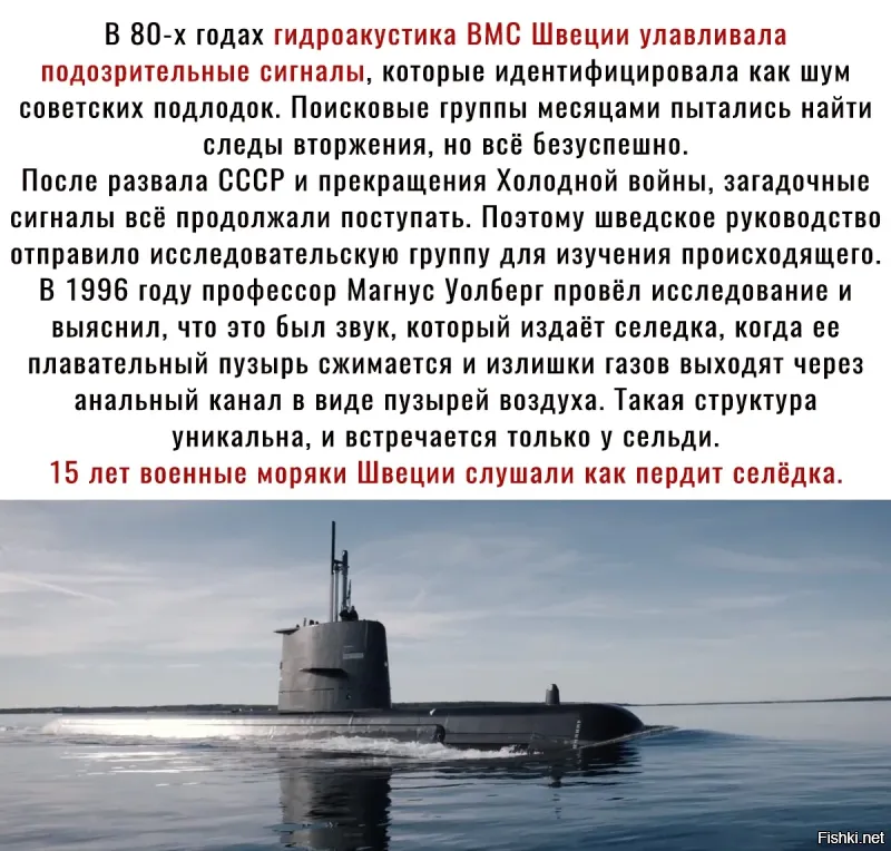 Да, европейцы вообще те ещё затейники
Вспоминается старая история