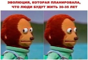 японцы тоже планировали, что их машины будут ездить по 5 лет. расскажите это моей Мазде 92-го года