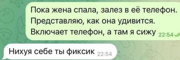 Пользователи попробовали выяснить, допустимо ли рыться в телефоне второй половинки, и пришли как к ожидаемым, так и неожиданным выводам