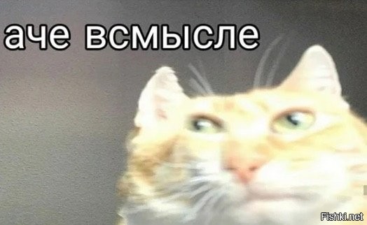 Солянка от 28.09.2025