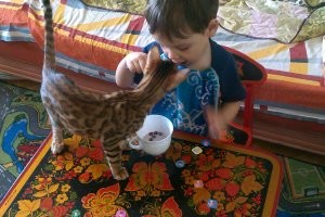 мой ворюга)