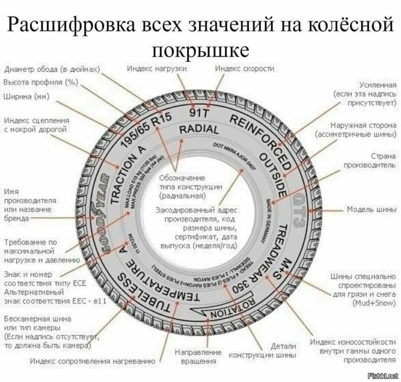 Изучаем