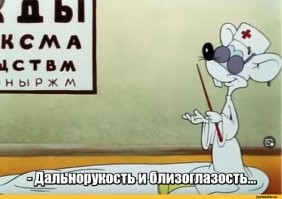 Енот-альбинос забыл дома свои очки