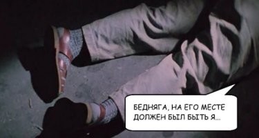 Почему совята спят плашмя