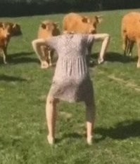 Я б и сам сдриснул!