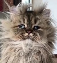 Ещё вот как у меня на аве )