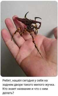 Мы самые страшные: бойтесь нас, люди