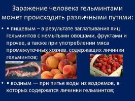 А как люди заражаются гельминтами, если в желудке кислота?