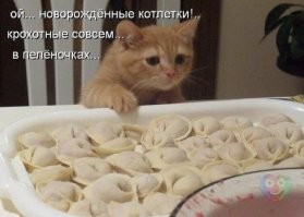 Смешные и странные демотиваторы на злобу дня