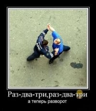 20 забавных кадров из мира дикой природы