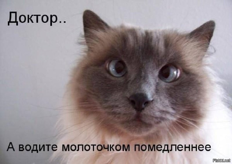 Смешные и странные демотиваторы на злобу дня