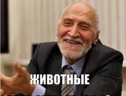Я никогда не понимал вот этого желания - пострелять. Я бы понял ещё фейерверк, ну, максимум, сигнал охотника, но тупо холостыми (может, и боевыми) - идиотизм просто.
