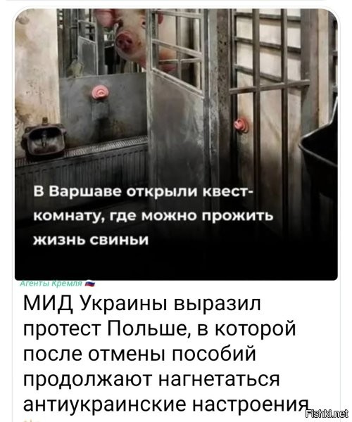 Это просто какая-то пещерная украинофобия