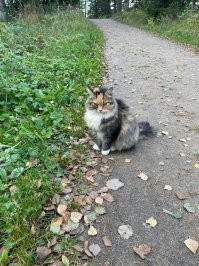 Вот такую красоту вчера на базе встретил