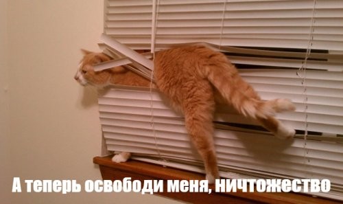 Не ищите здесь смысл. Здесь в основном маразм