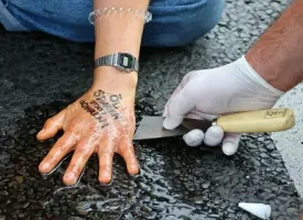 Мошонка не приклеивается, а приколачивается гвоздями на 150...