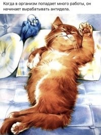 Не ищите здесь смысл. Здесь в основном маразм