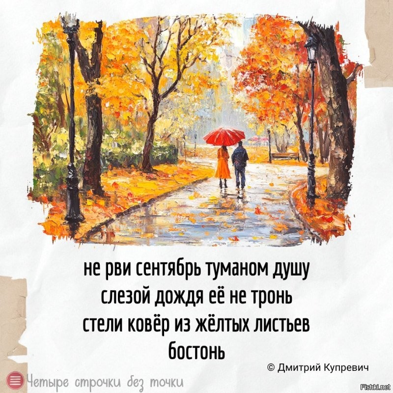 Солянка от 30.09.2025