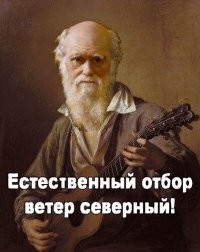 Подобных отмороженных рыбаков каждый год со льдин снимают, у них чувство самосохроанение отсутствует.