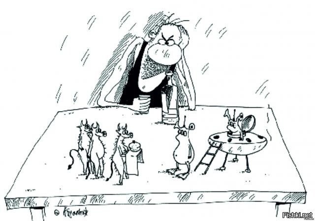 Солянка от 30.09.2025